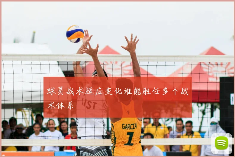 球员战术适应变化谁能胜任多个战术体系