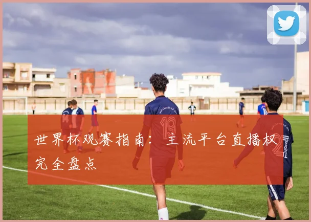 世界杯观赛指南:主流平台直播权完全盘点