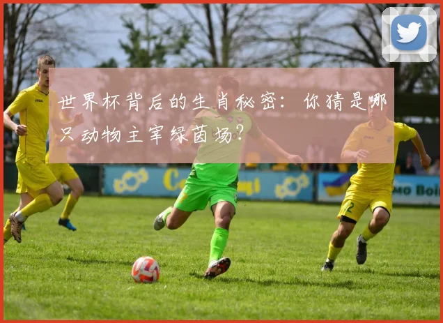 世界杯背后的生肖秘密:你猜是哪只动物主宰绿茵场?