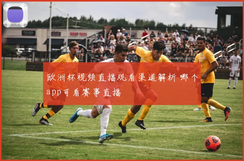 欧洲杯视频直播观看渠道解析 哪个app可看赛事直播