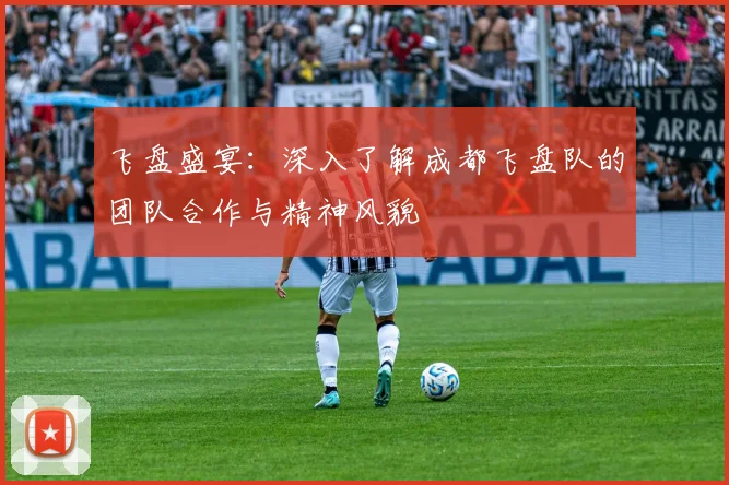 飞盘盛宴：深入了解成都飞盘队的团队合作与精神风貌