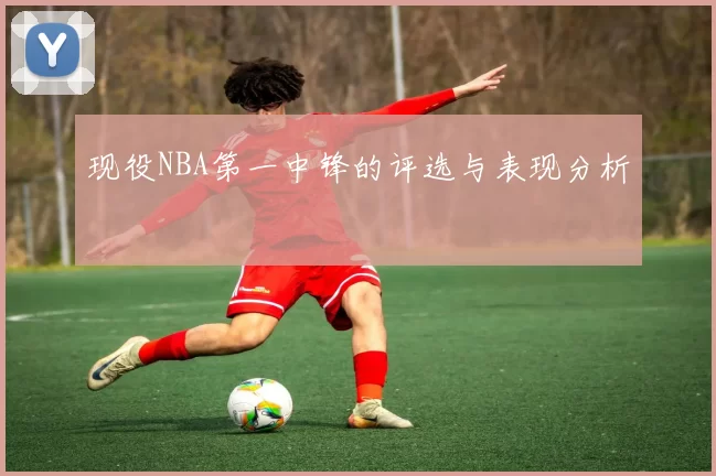 现役NBA第一中锋的评选与表现分析
