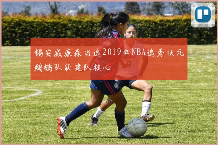 锡安威廉森当选2019年NBA选秀状元鹈鹕队获建队核心