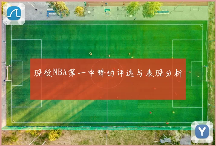现役NBA第一中锋的评选与表现分析