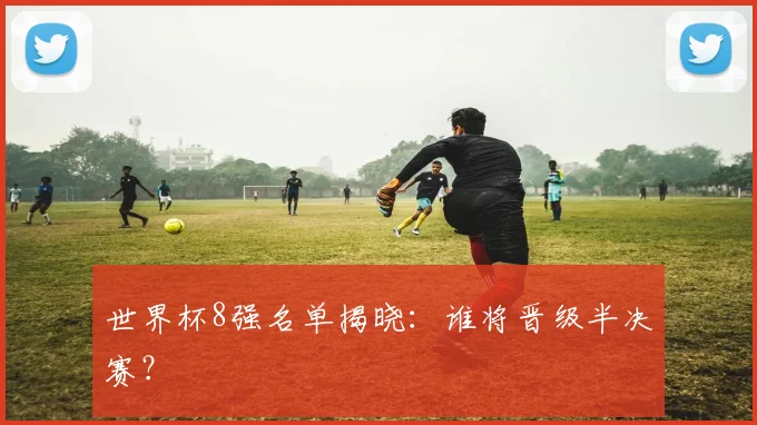 世界杯8强名单揭晓：谁将晋级半决赛？