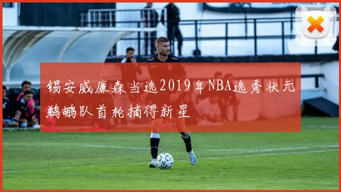 锡安威廉森当选2019年NBA选秀状元鹈鹕队首轮摘得新星