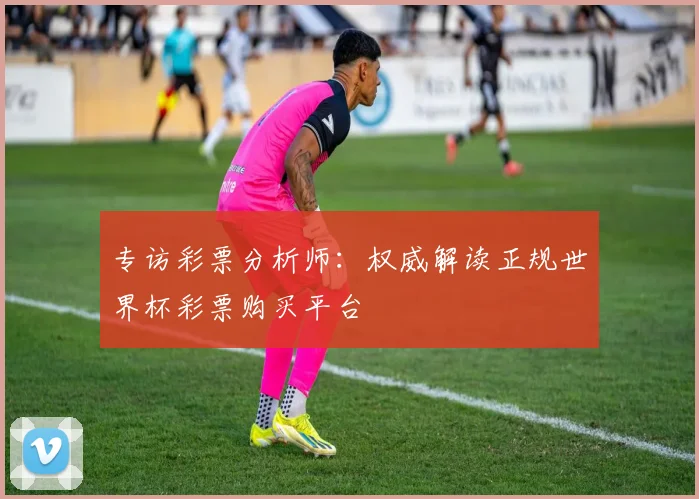 专访彩票分析师：权威解读正规世界杯彩票购买平台