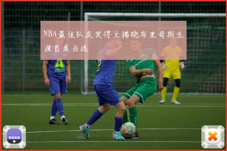 NBA最佳队友奖得主揭晓布里奇斯生涯首度当选
