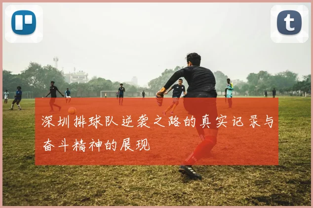 深圳排球队逆袭之路的真实记录与奋斗精神的展现