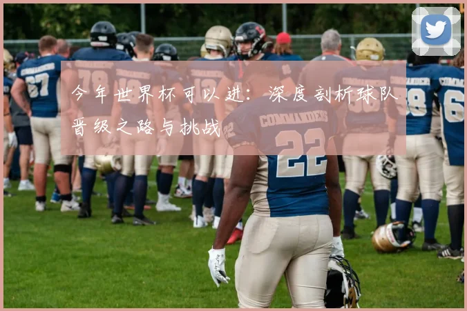 今年世界杯可以进：深度剖析球队晋级之路与挑战