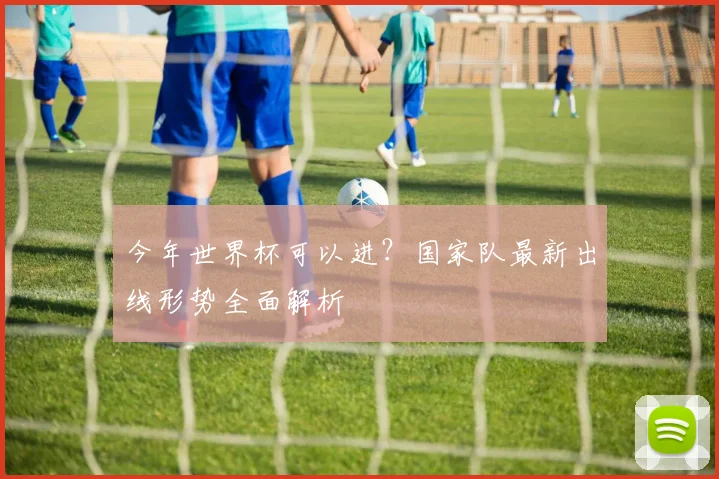 今年世界杯可以进?国家队最新出线形势全面解析